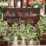 Embrace Green Love: Sustainable and Eco-Friendly Weddings