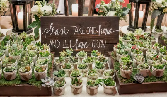 Embrace Green Love: Sustainable and Eco-Friendly Weddings